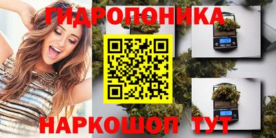 бошки Ярославль