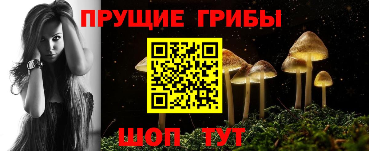 Псилоцибиновые грибы MAGIC MUSHROOMS Коммунар